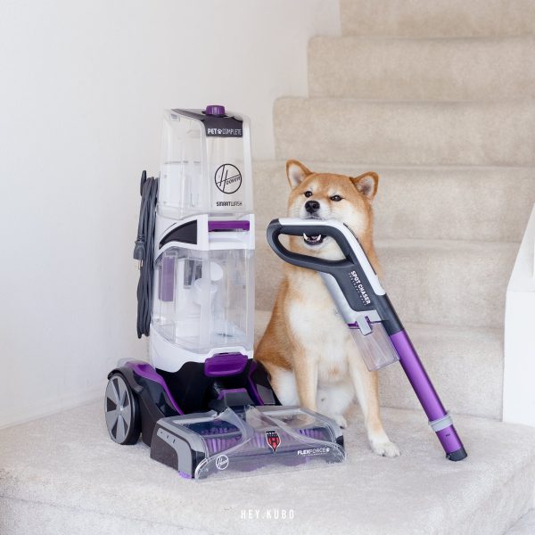 Hoover SmartWash Pet Complete Automatic Carpet Cleaner Machine， FH53010 - Image 11